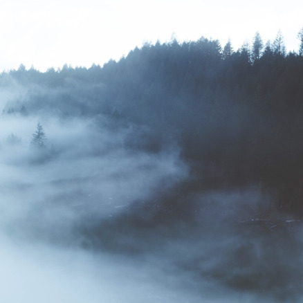 dissolving illusions