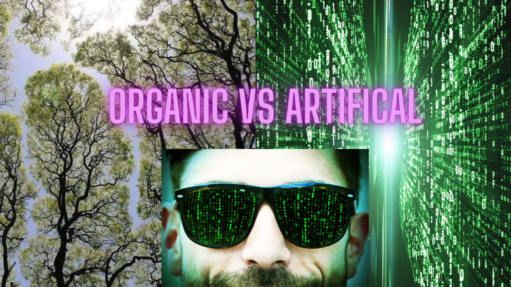 The Difference Between Organic and Artificial&nbsp;Reality